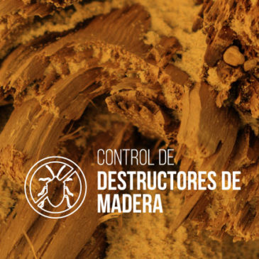 Control de destructores de madera