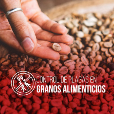 Control de plagas en granos de alimentos