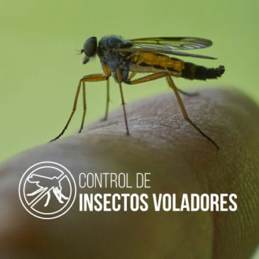 Control de insectos voladores