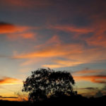 Soleado1 150x150