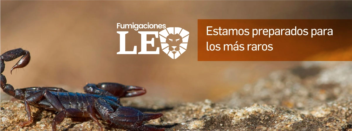 fumigacionesleo preparados para otras plagas
